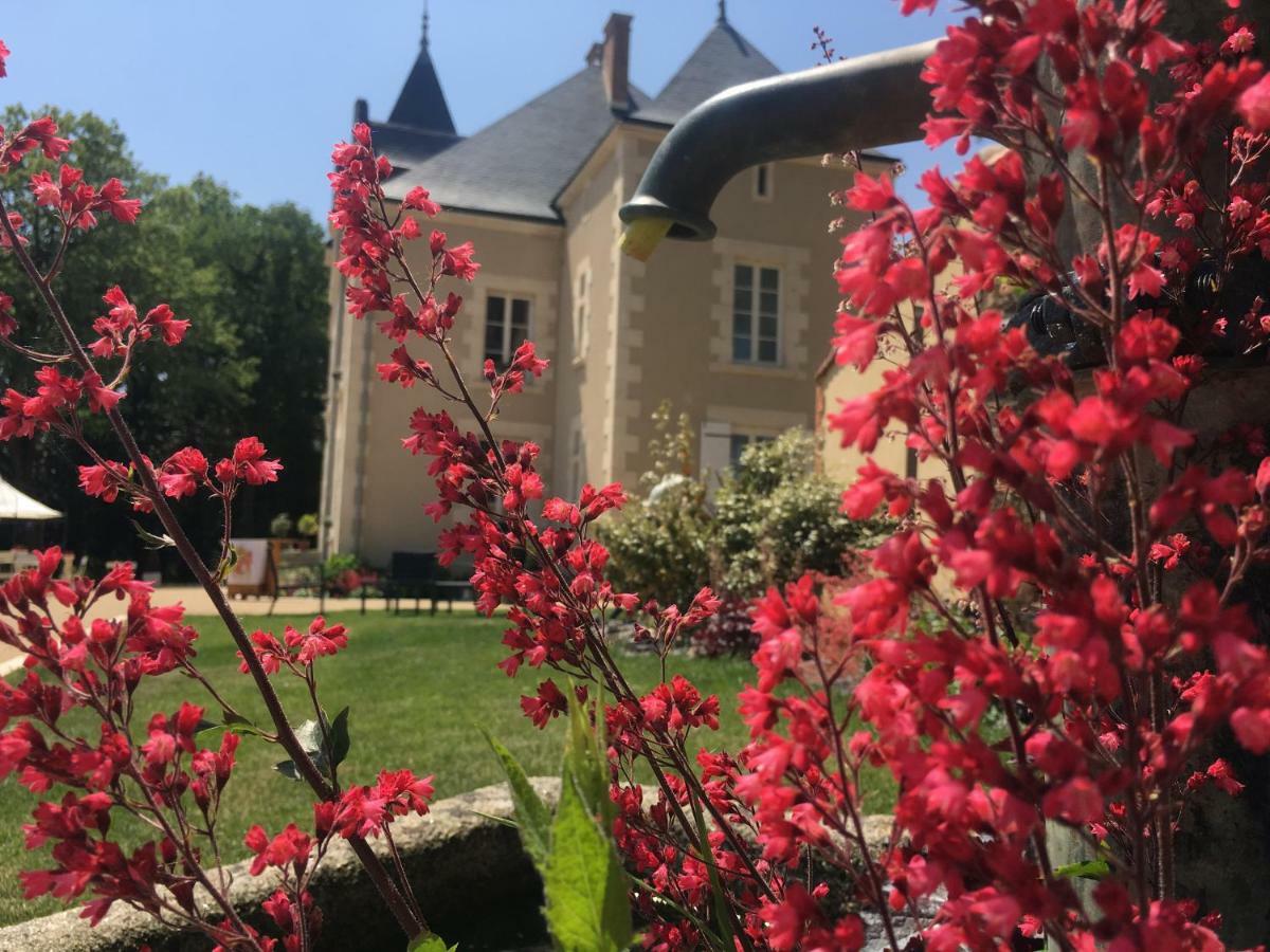Mouchamps Le Petit Chateau Des Cedres المظهر الخارجي الصورة